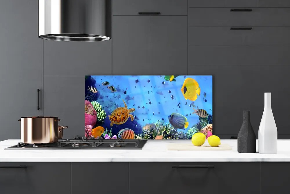 Szkło do Kuchni na Ścianę Podwodny Świat Rafy Koralowej