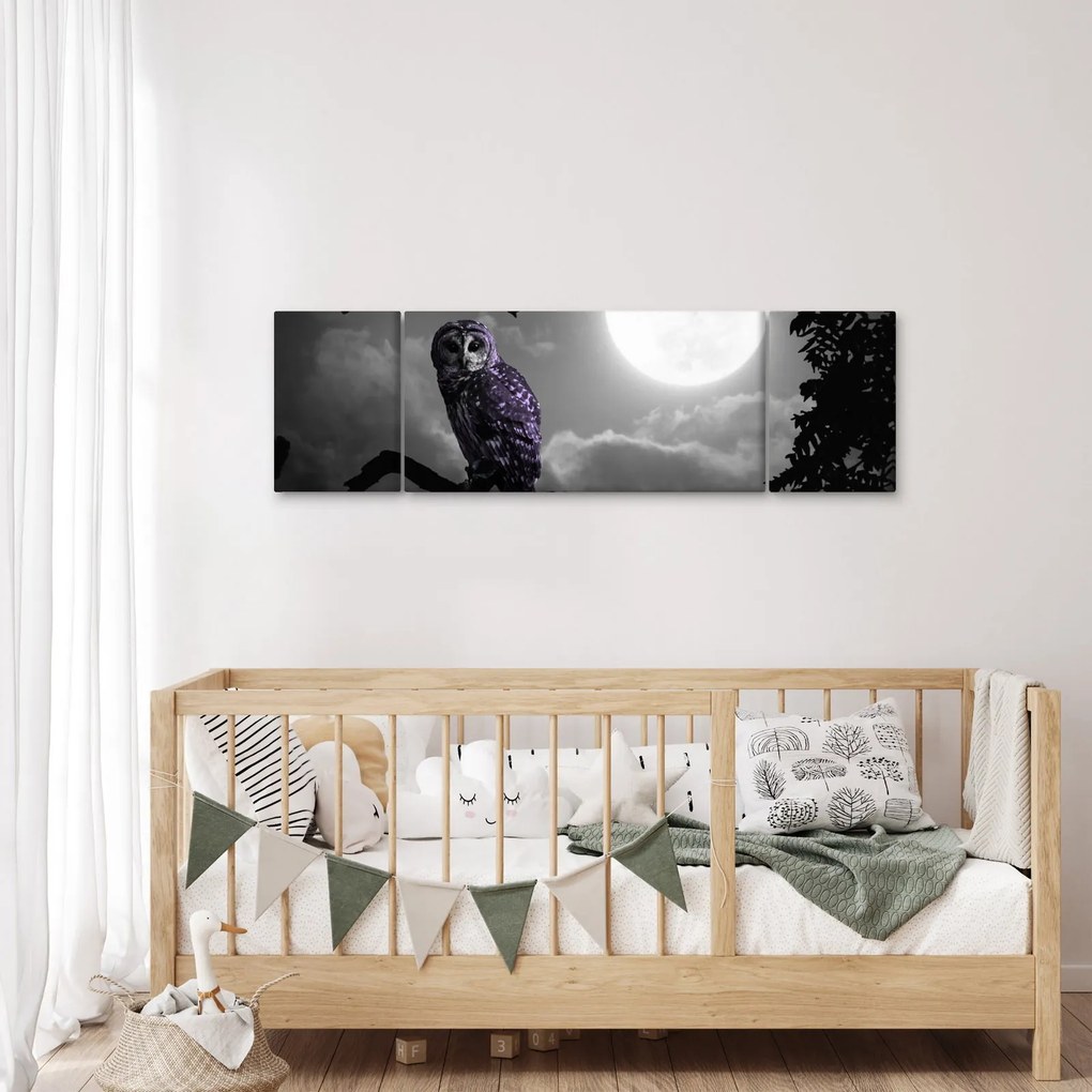 Obraz - Nocna sowa, fioletowa sowa (170x50 cm)