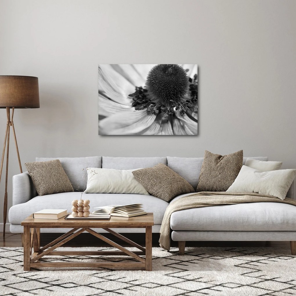 Obraz - Kwiat w czerni i bieli (70x50 cm)