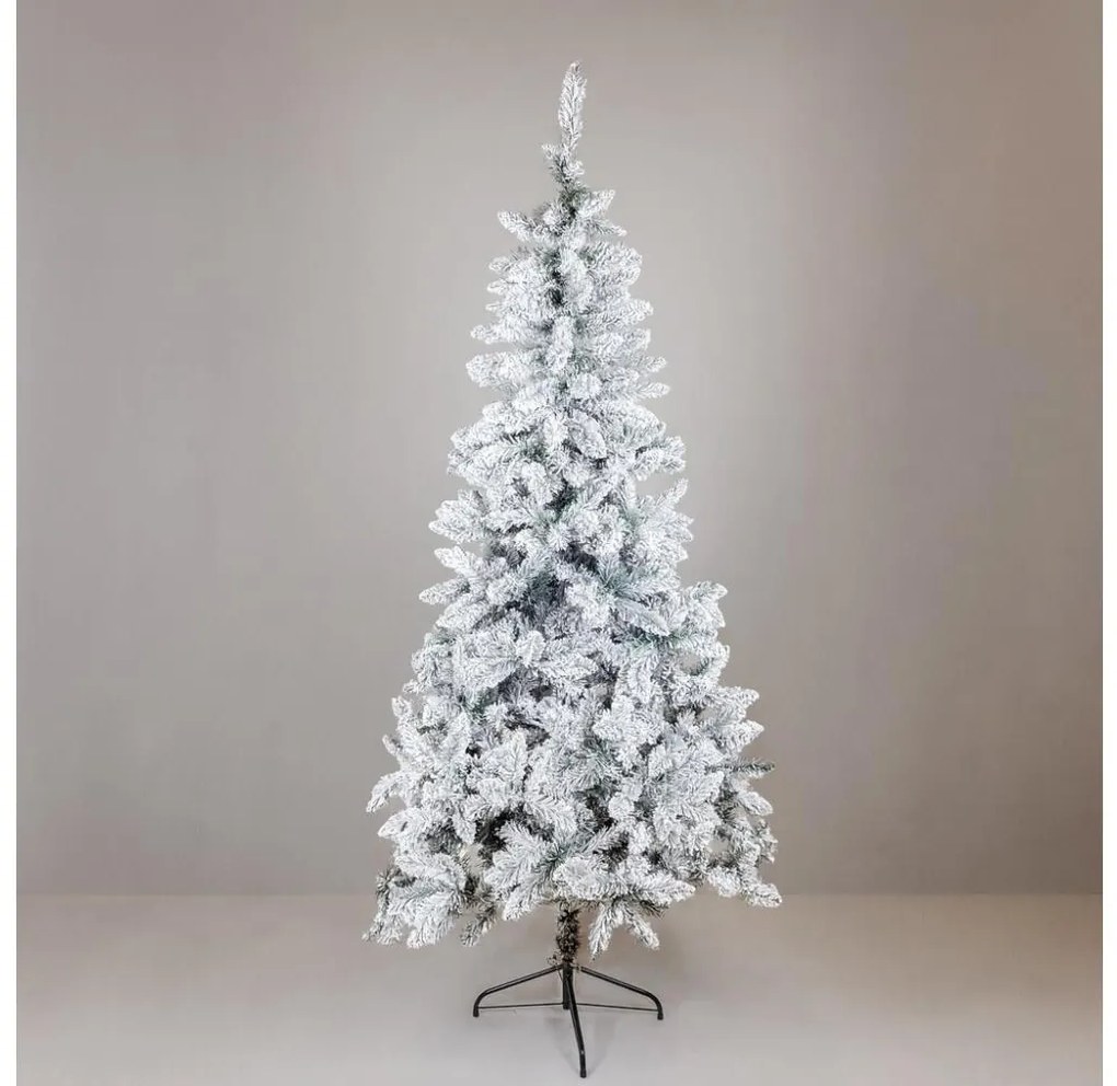 Choinka SCOTLAND 210 cm jodła