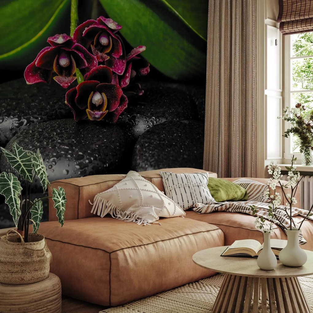 Fototapeta - Orchidea i kamienie (196x136 cm)