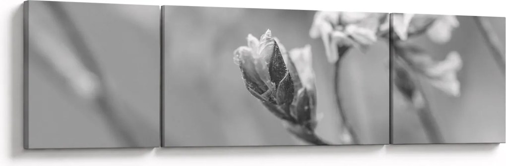Obraz - Kwitnący kwiat (170x50 cm)