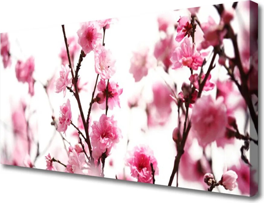 Obraz na płótnie Kwitnące Gałązki o Poranku