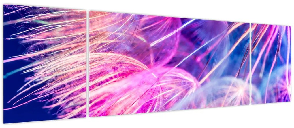 Obraz - Makro (170x50 cm)