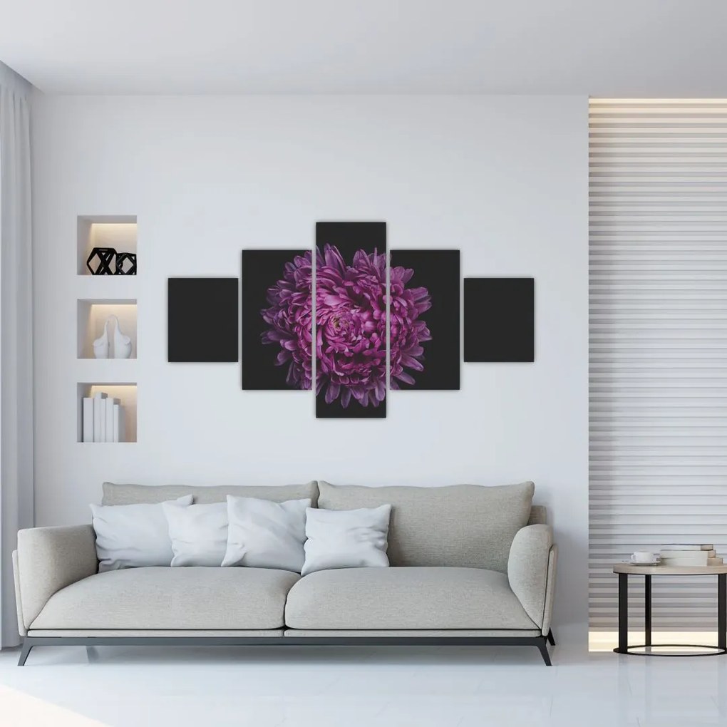 Obraz fioletowego kwiatu (125x70 cm)
