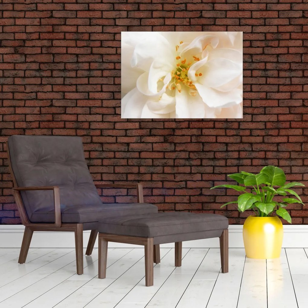 Obraz - Kwiat (70x50 cm)