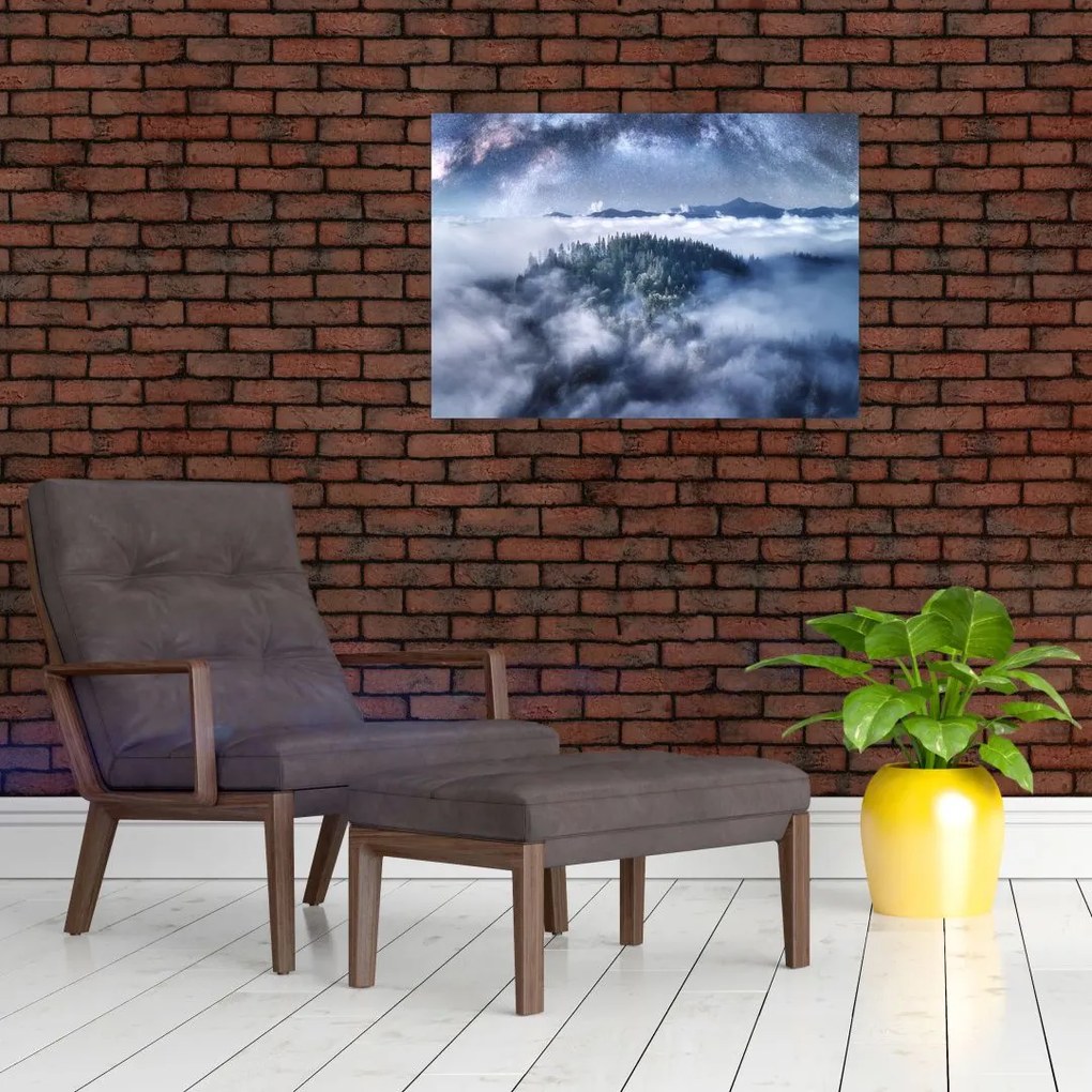 Obraz lasu we mgle (70x50 cm)