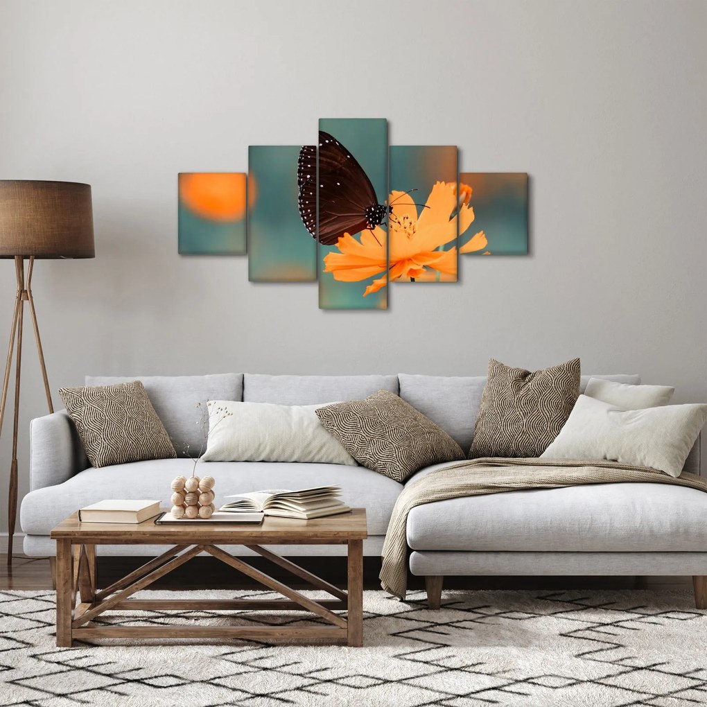 Obraz - motyl na pomarańczowym kwiatku (125x70 cm)