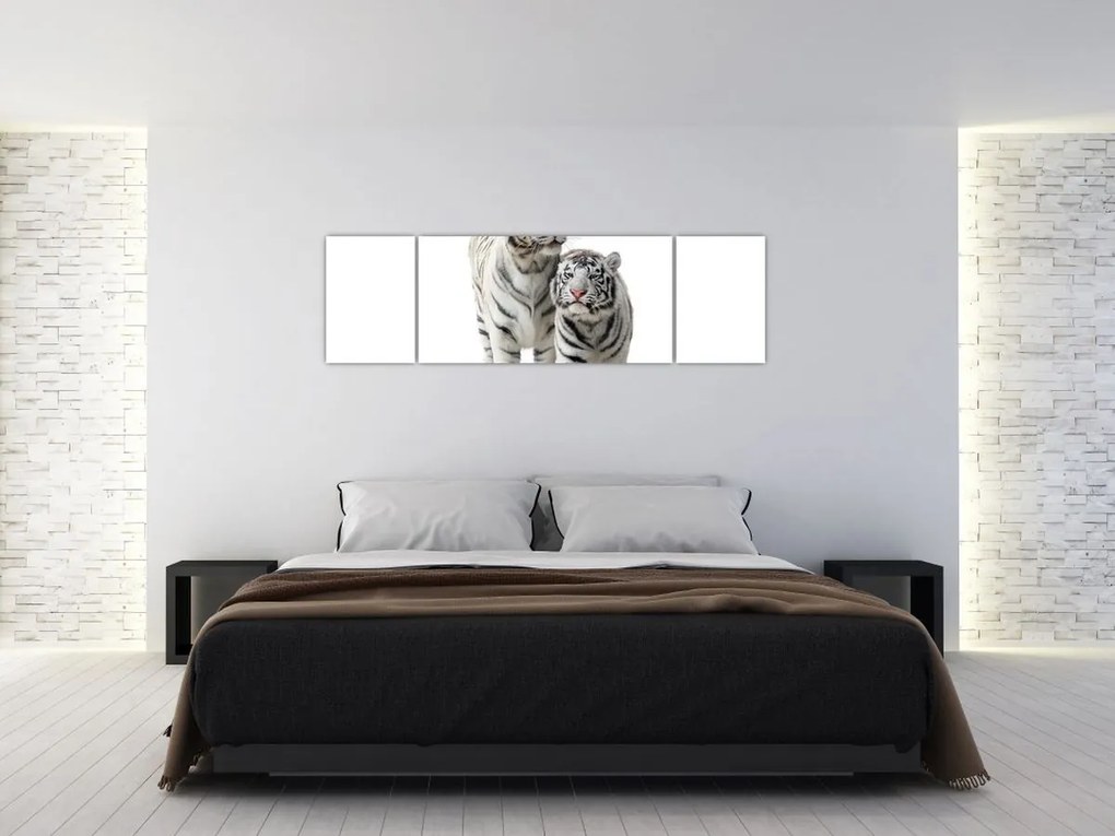 Obraz - Biały Tygrys (170x50 cm)