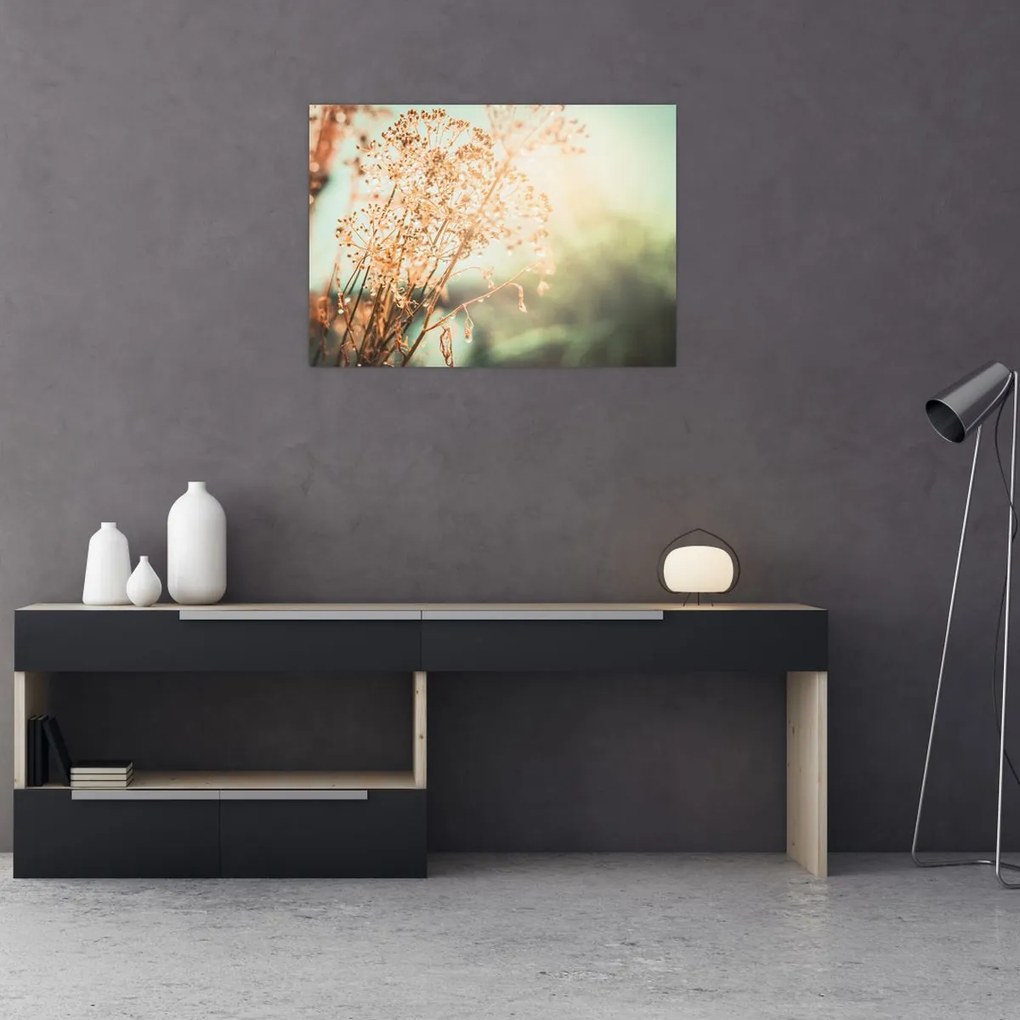 Obraz - Rośliny po deszczu (70x50 cm)