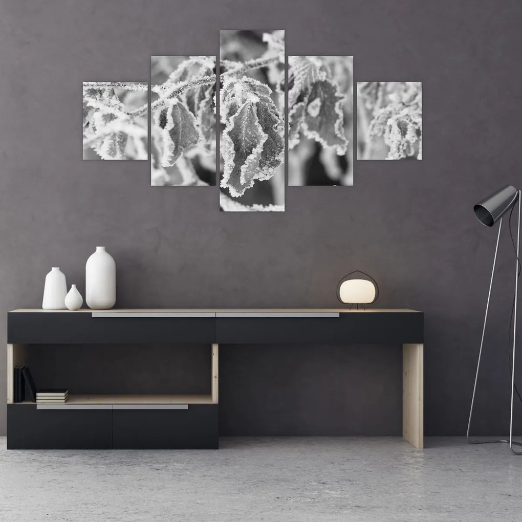 Obraz - Zmarznięte liście, czarno - biały (125x70 cm)