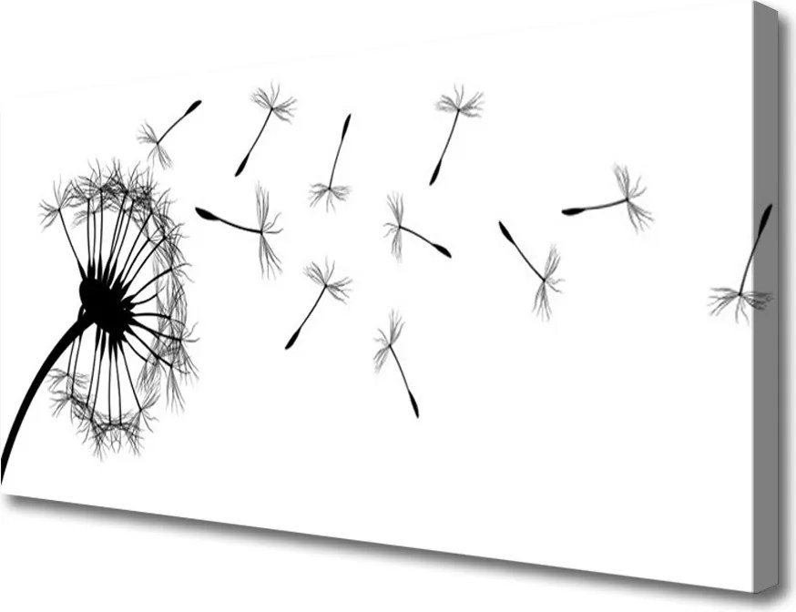 Obraz canvas Poranne Perły na Trawie