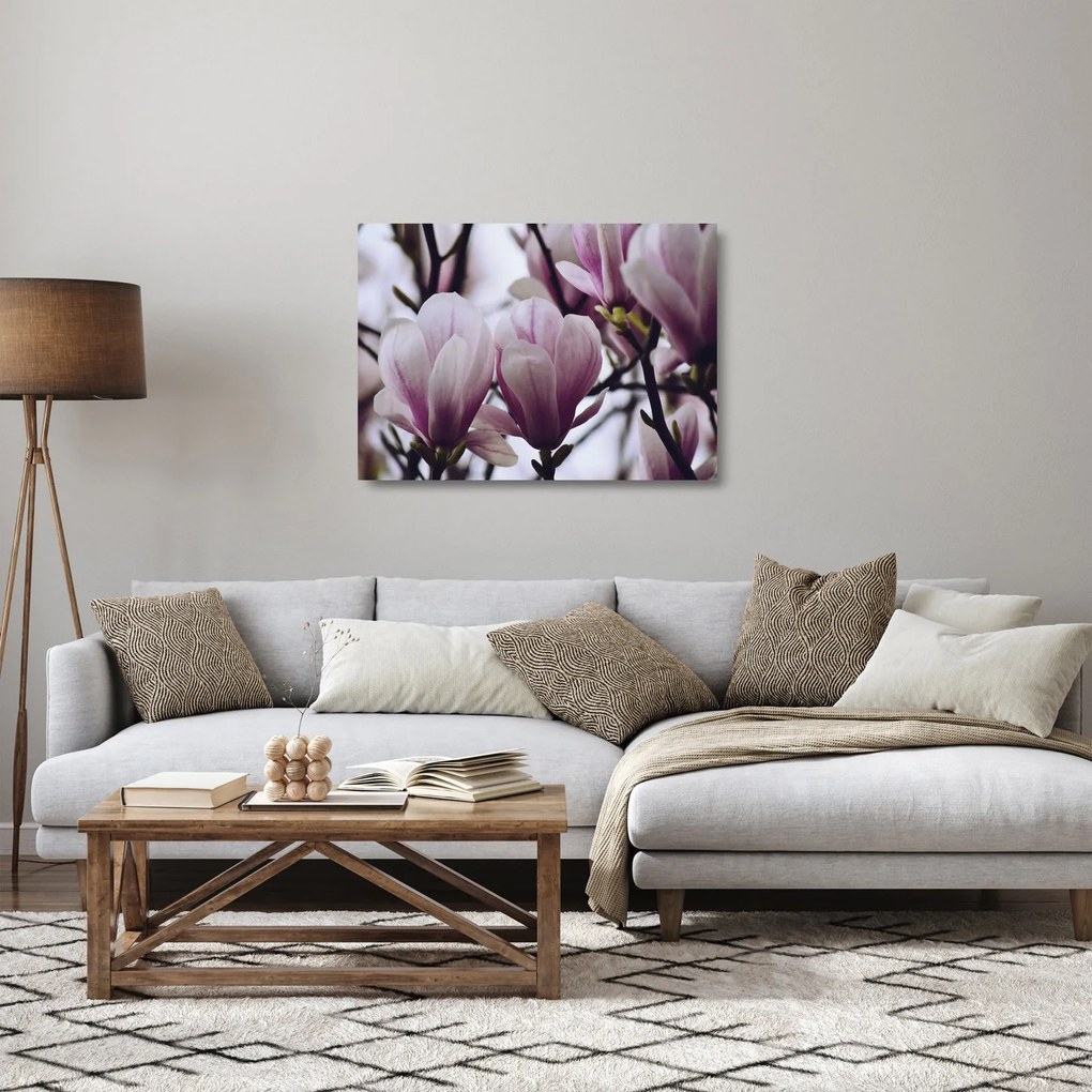 Obraz na szkle - Magnolia (70x50 cm)