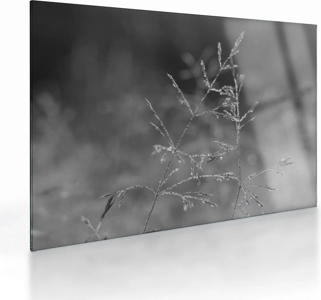 Obraz na szkle - Wiejska łąka (70x50 cm)
