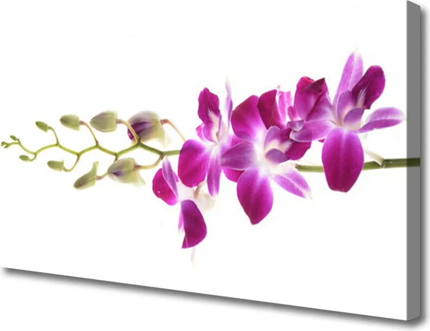 Duży obraz na płótnie Pastelowy Bukiet Kwiatowy