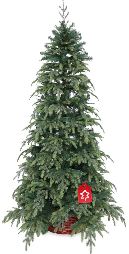Świerk Natura 180 cm