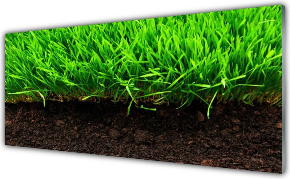 Szkło Ozdobne do Kuchni Świeża Trawa O Poranku