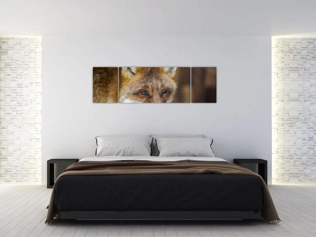 Obraz lisa (170x50 cm)