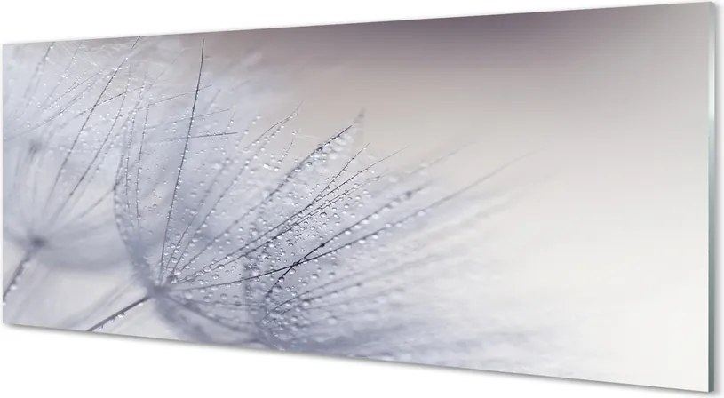 Panel nad Blat Kuchenny Dmuchawce w Porannej Rosie