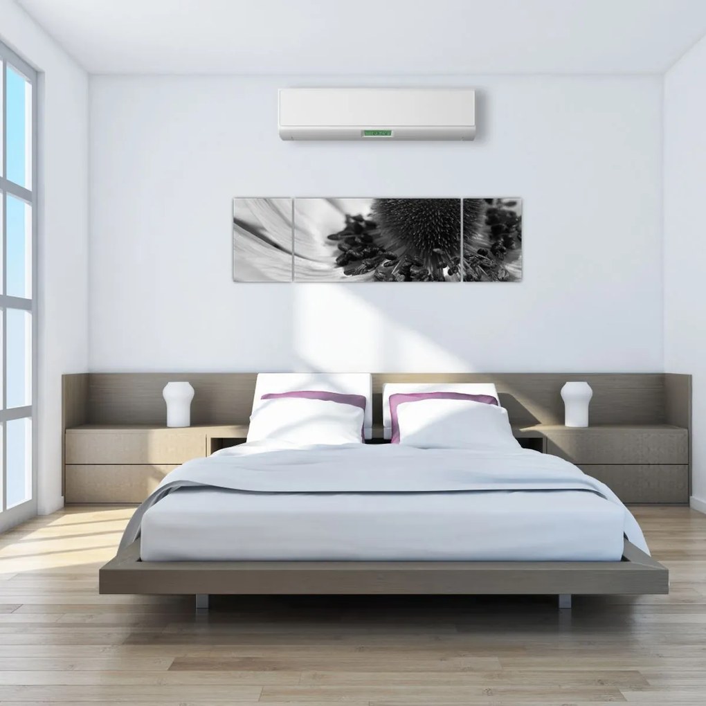 Obraz - Kwiat w czerni i bieli (170x50 cm)