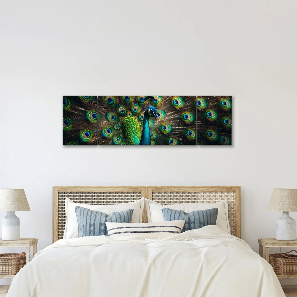 Obraz – Paw (170x50 cm)