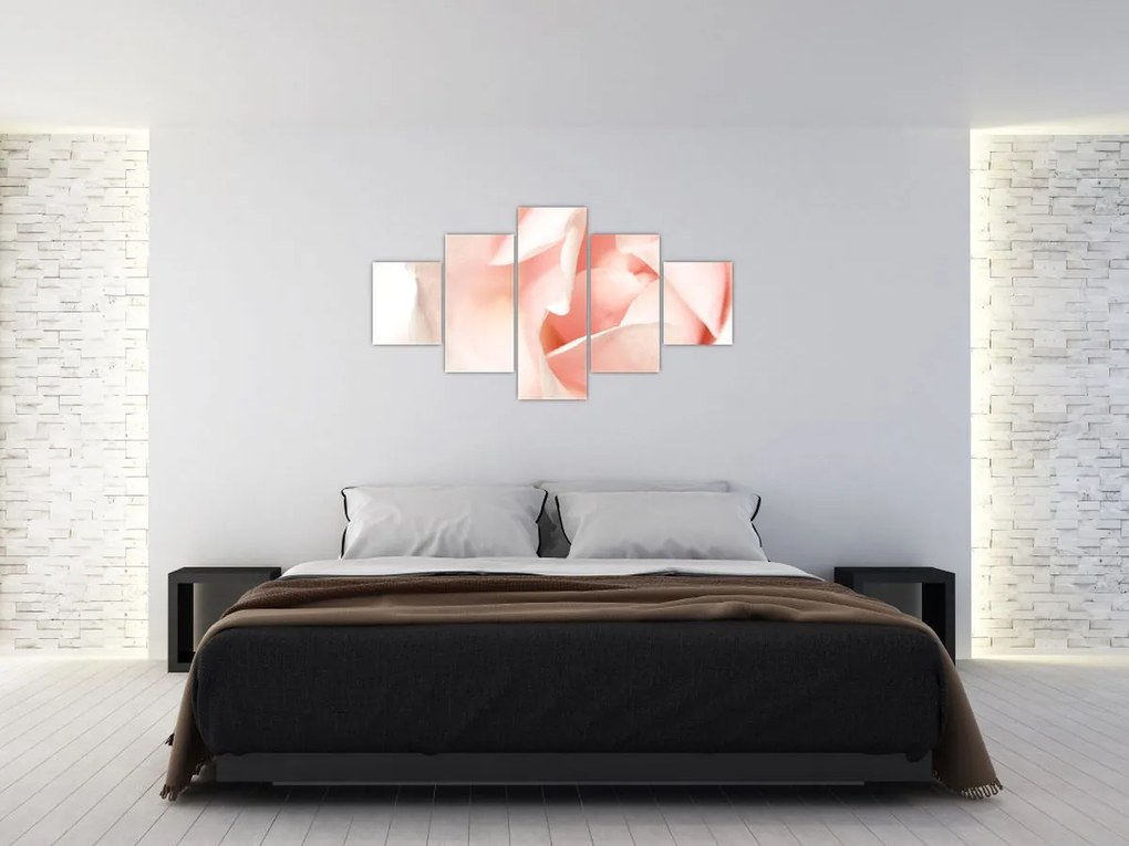 Obraz - Róża (125x70 cm)