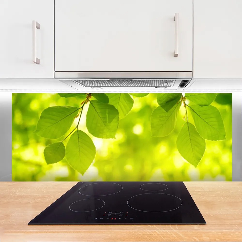 Panel Kuchenny Zielone Liście W Stylu Modern