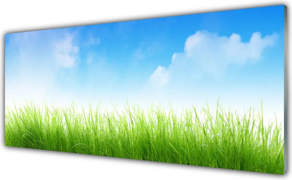 Panel nad blat kuchenny Soczysta Zielona Trawa