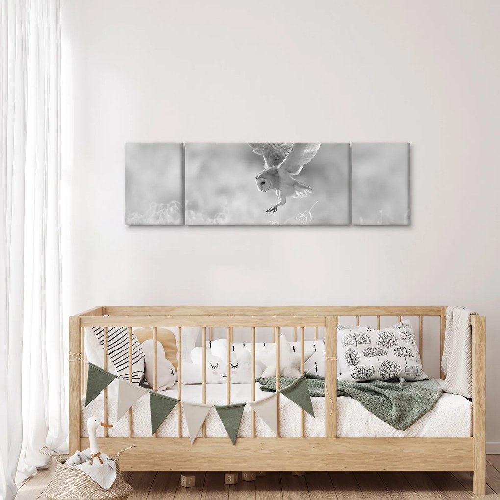 Obraz - Sowa na polu (170x50 cm)