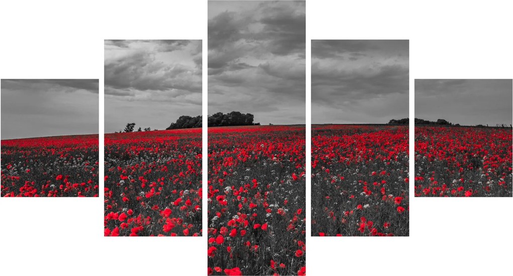 Obraz maków (125x70 cm)