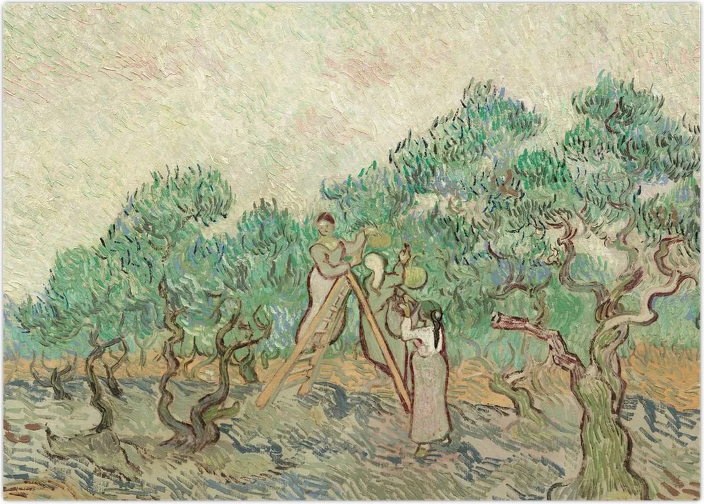 Obraz na szkle - Vincent van Gogh, The Olive Orchard, reprodukcje (70x50 cm)