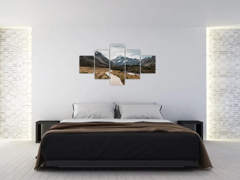 Obraz - Chodnik w dolinie góry Mt. Cook (125x70 cm)