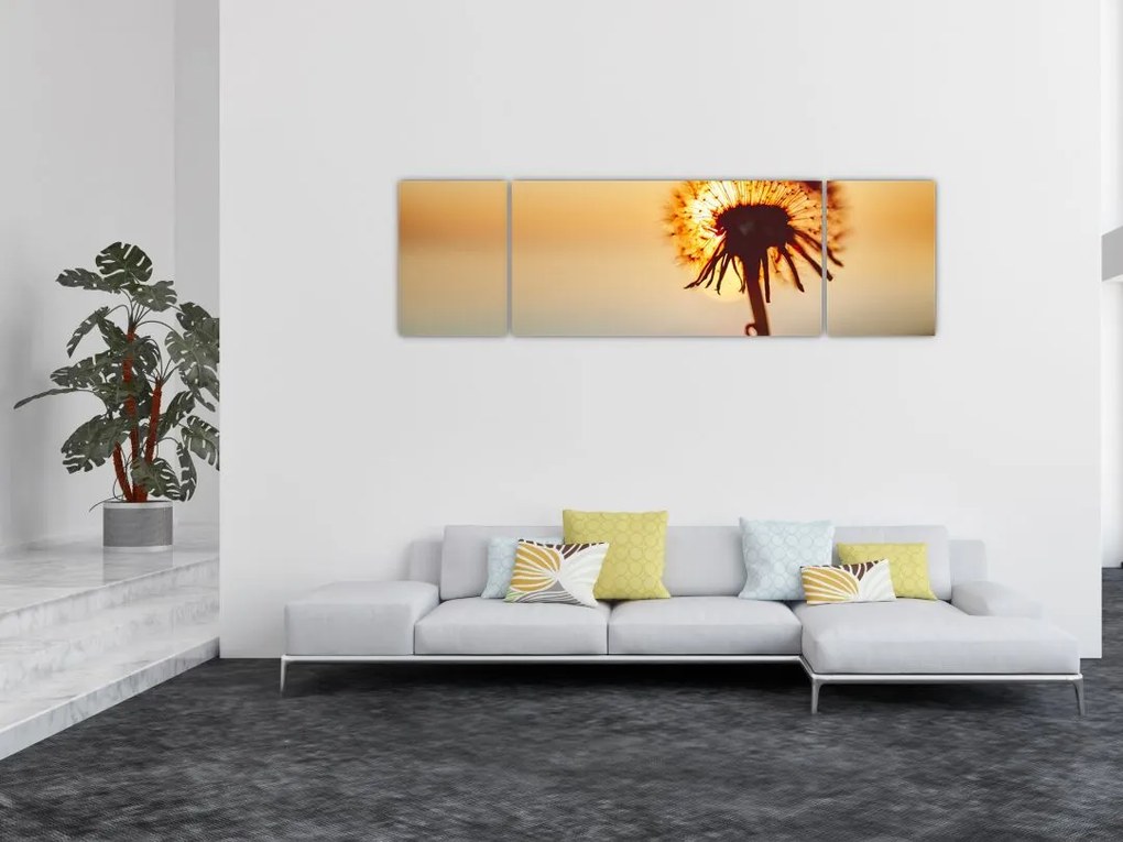 Obraz dmuchawca o zachodzie słońca (170x50 cm)