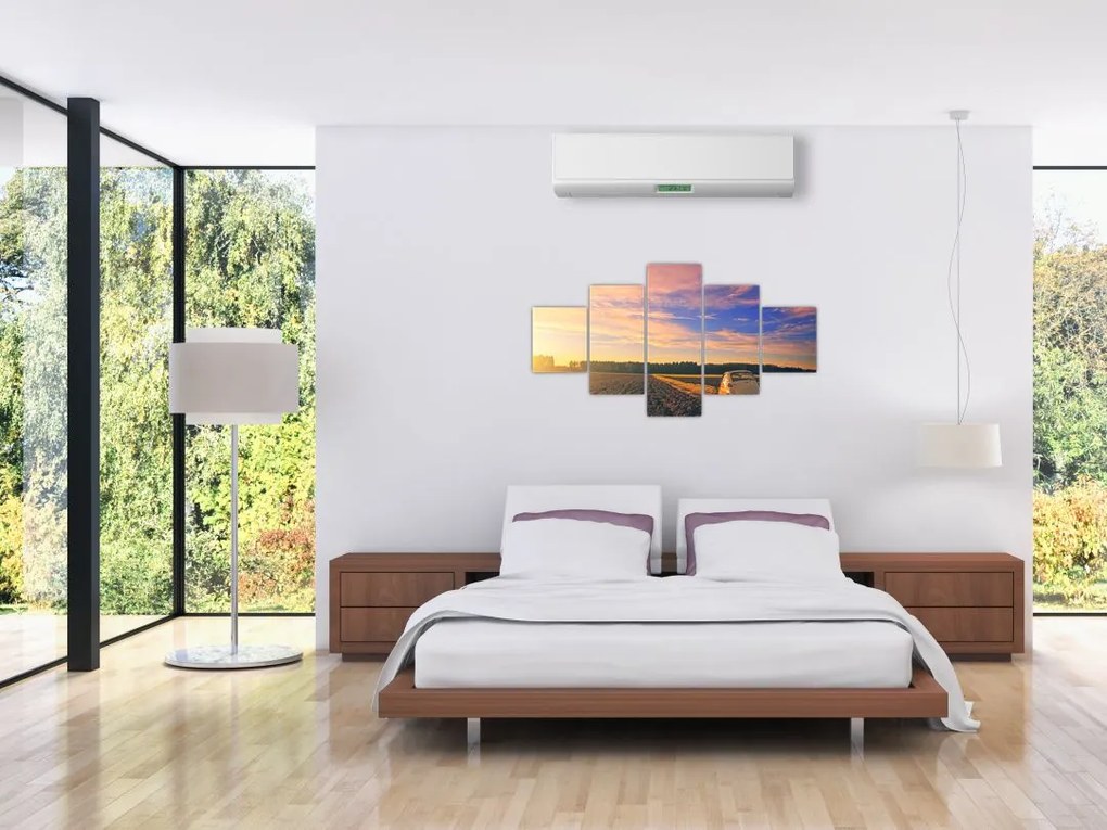 Obraz żółtego samochodu na polu (125x70 cm)