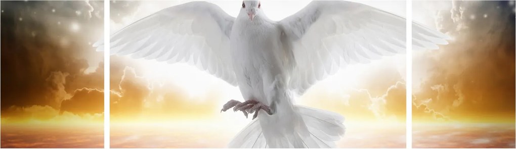 Obraz gołębicy (170x50 cm)