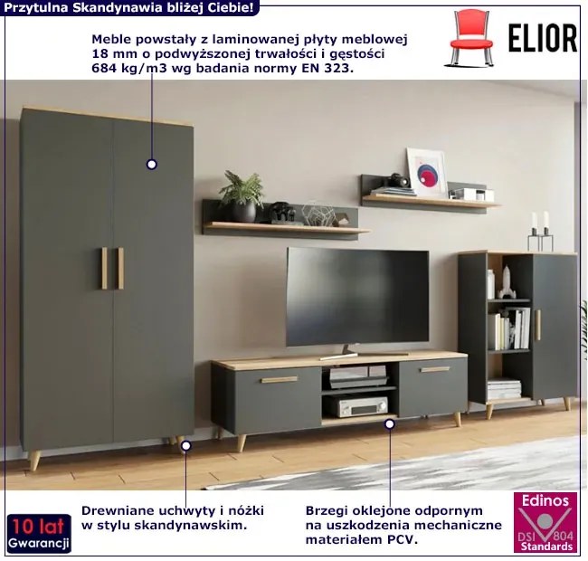 Komplet mebli do salonu z szafą antracyt + dąb artisan L2-G16