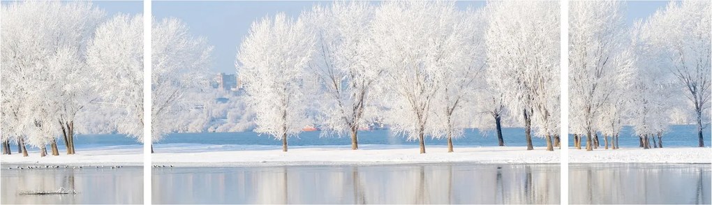 Obraz zimowego krajobrazu (170x50 cm)