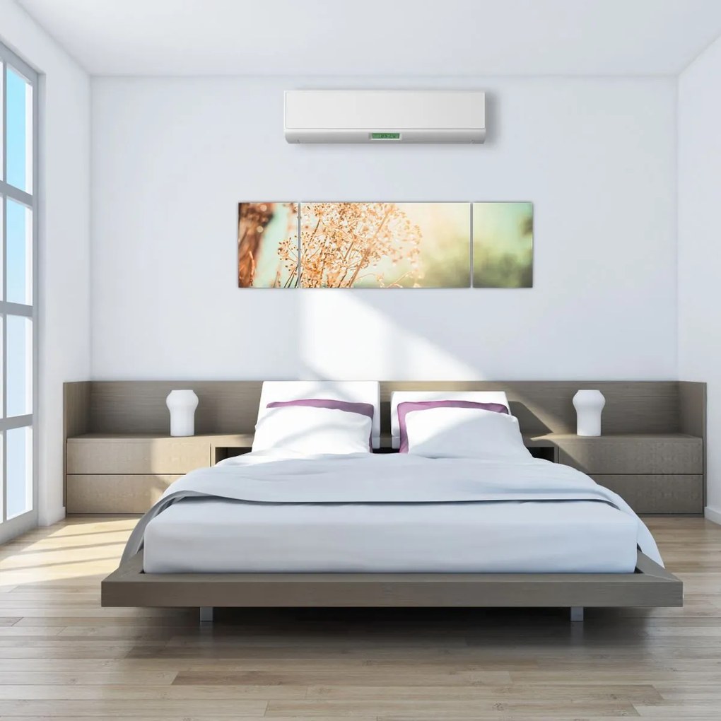 Obraz - Rośliny po deszczu (170x50 cm)