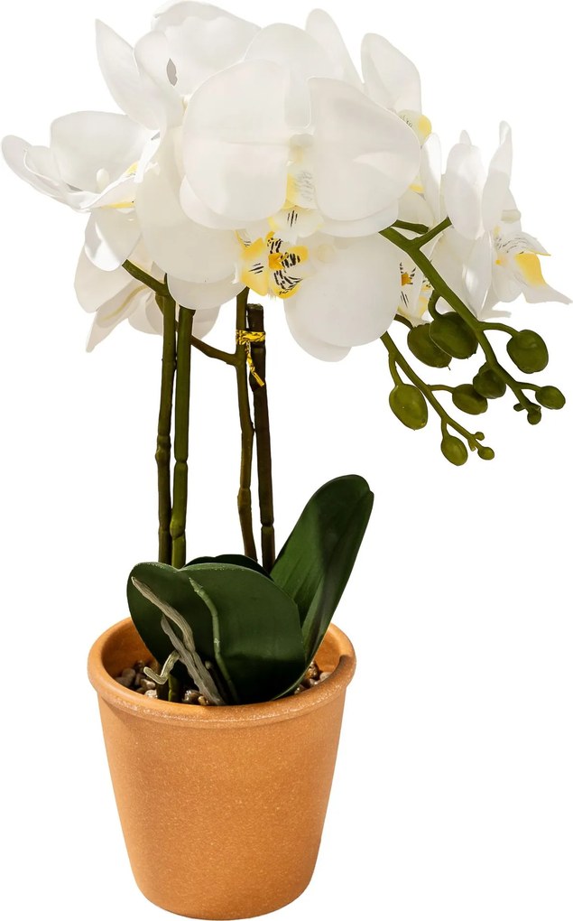 Storczyk Orchidea White w doniczce 45 cm