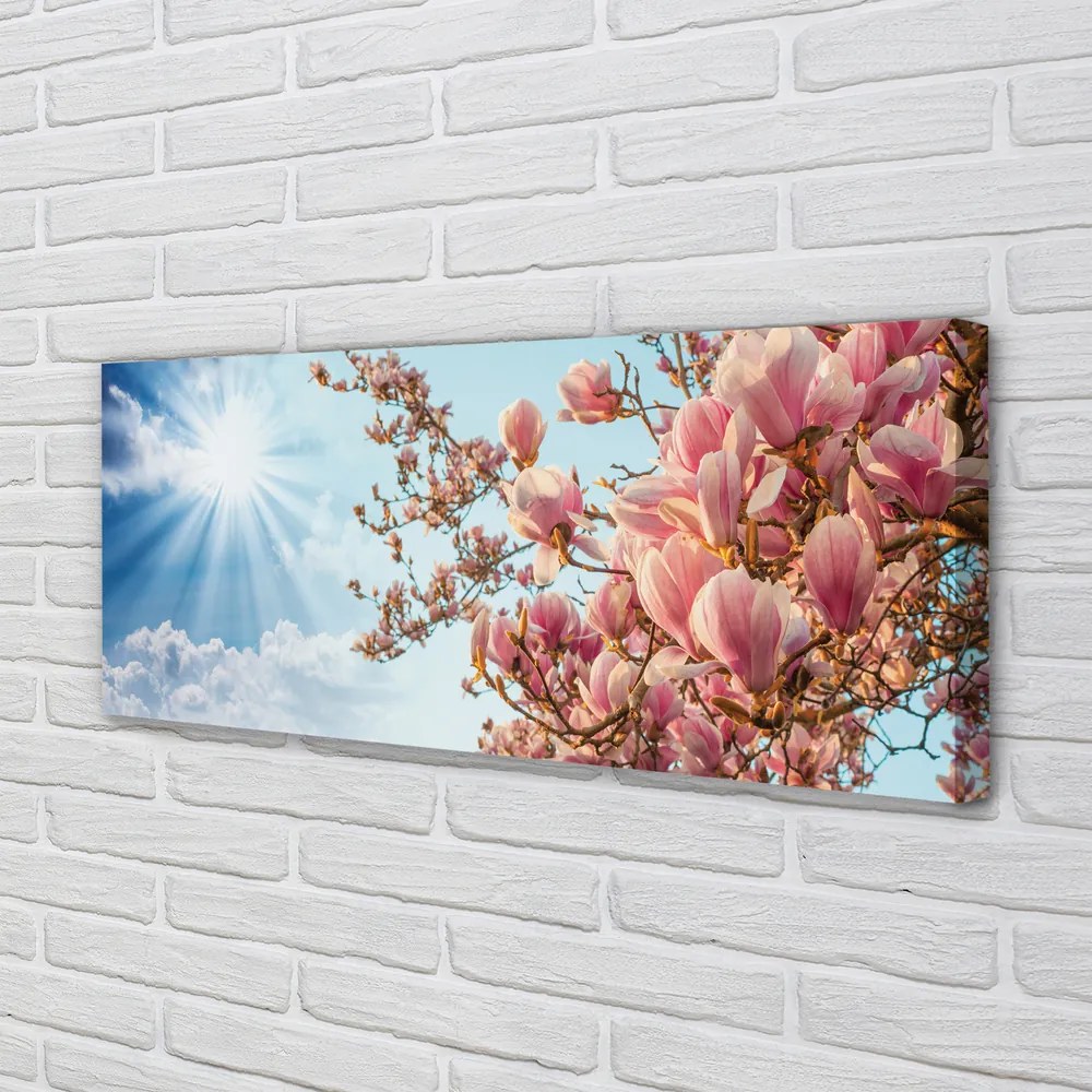 Obraz canvas na ścianę Magnolia na tle Nieba w Słońcu