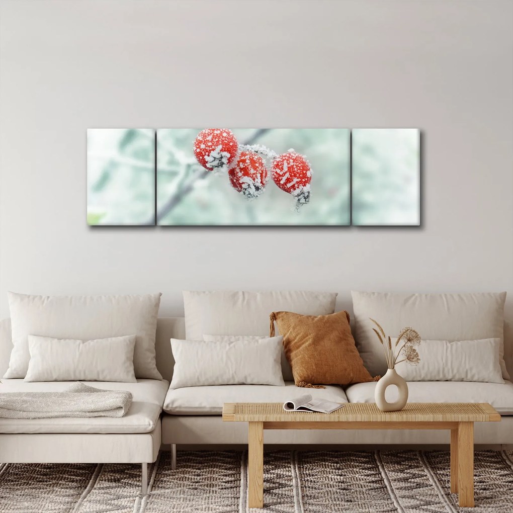 Obraz mrożonych owoców dzikiej róży (170x50 cm)