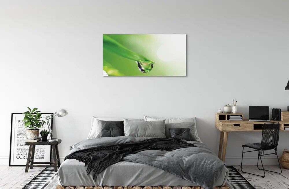 Obraz drukowany na płótnie Słoneczna Kropla na Liściu