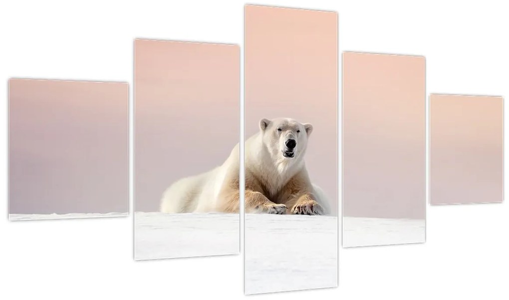 Obraz - Niedźwiedź polarny (125x70 cm)