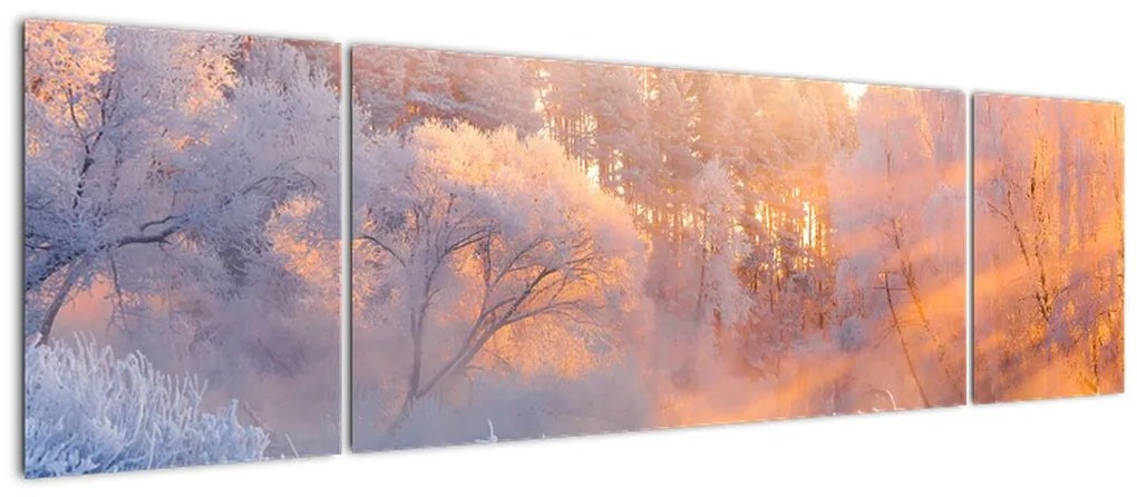 Obraz - Mroźny świt (170x50 cm)