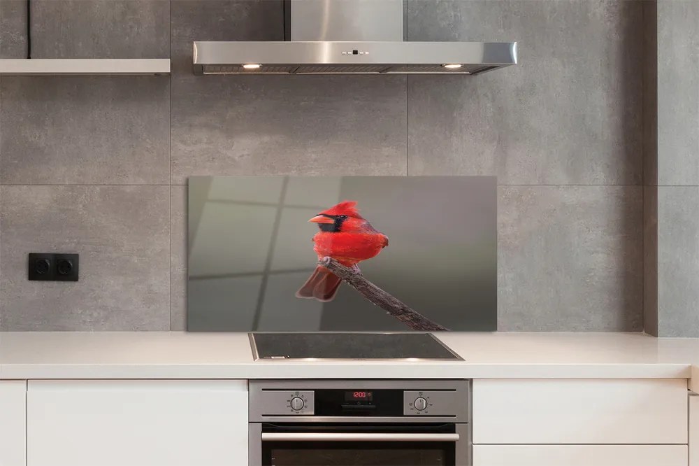 Panel szklany do Kuchni Czerwona Ara w Gęstwinie