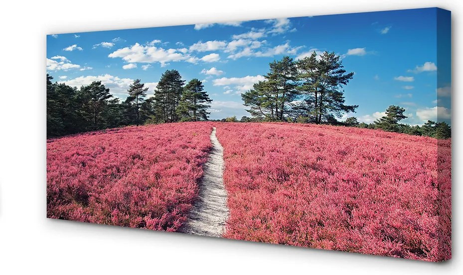 Obraz canvas na ścianę Pole Wrzosów i Las