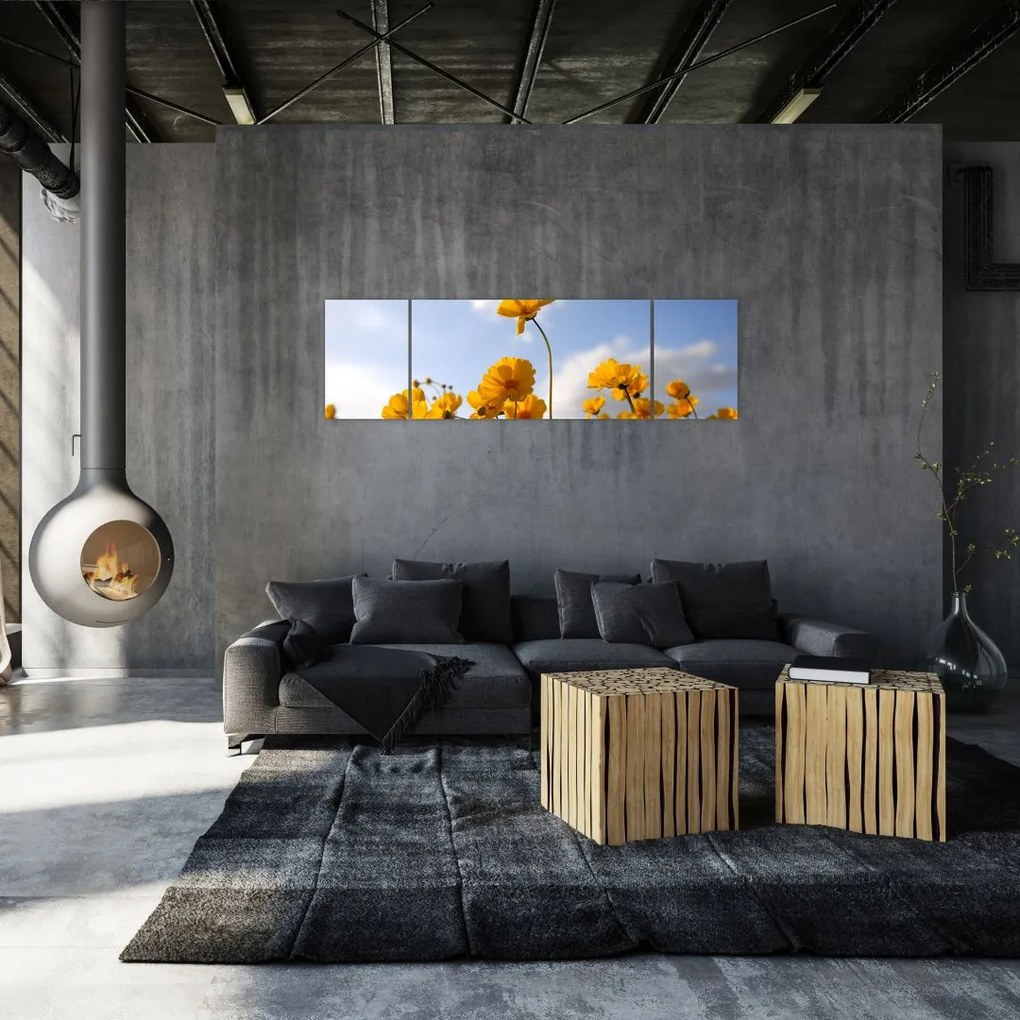 Obraz pola z jasnożółtymi kwiatami (170x50 cm)