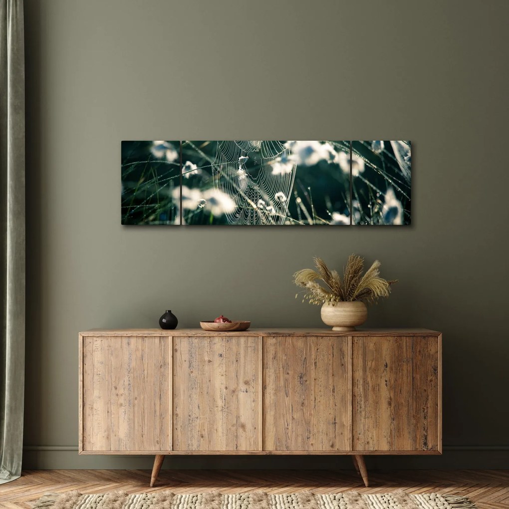 Obraz - Pajęczyna (170x50 cm)