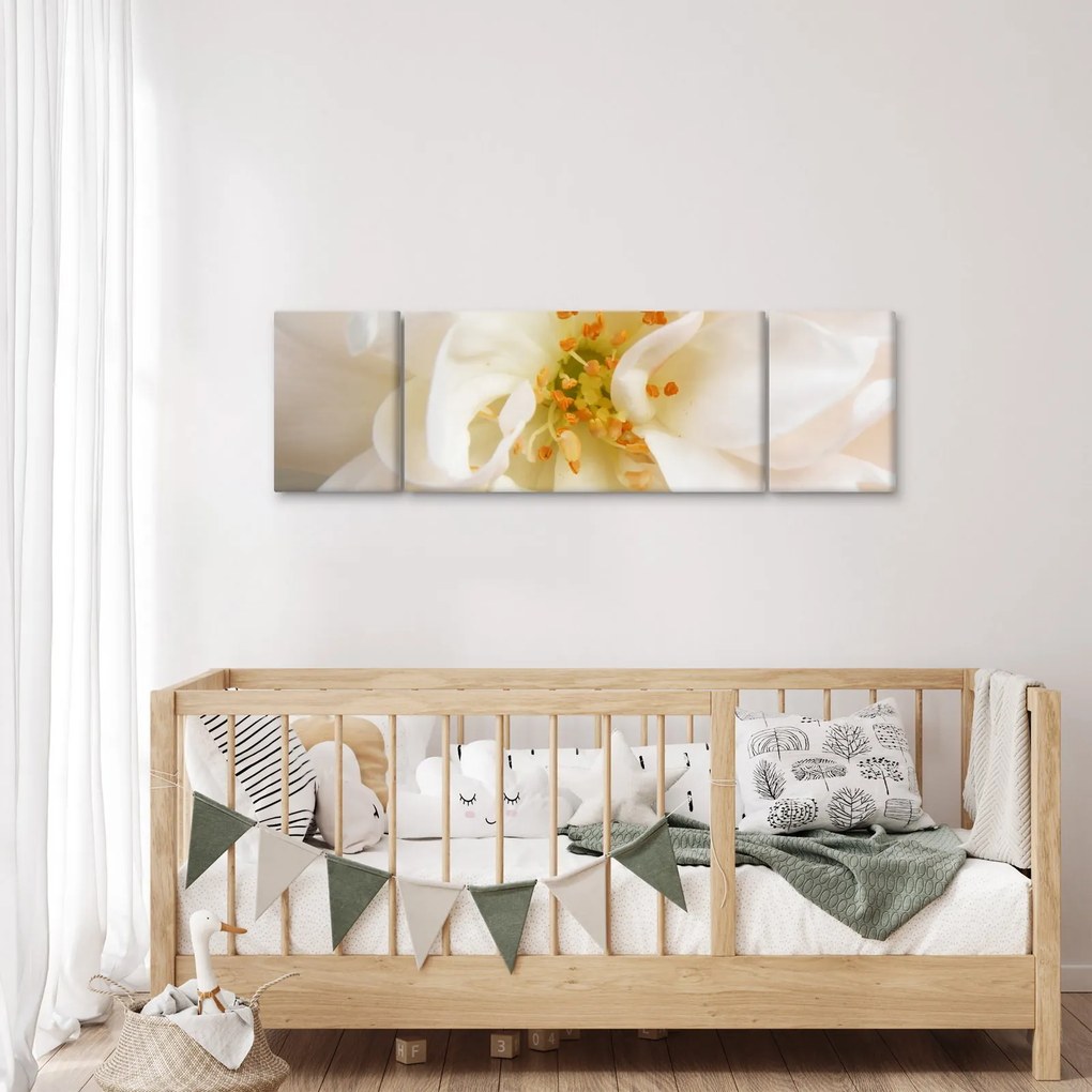 Obraz - Kwiat (170x50 cm)