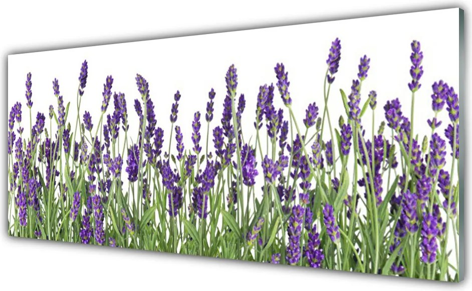 Panel Szklany Elegancja Polnych Roślin